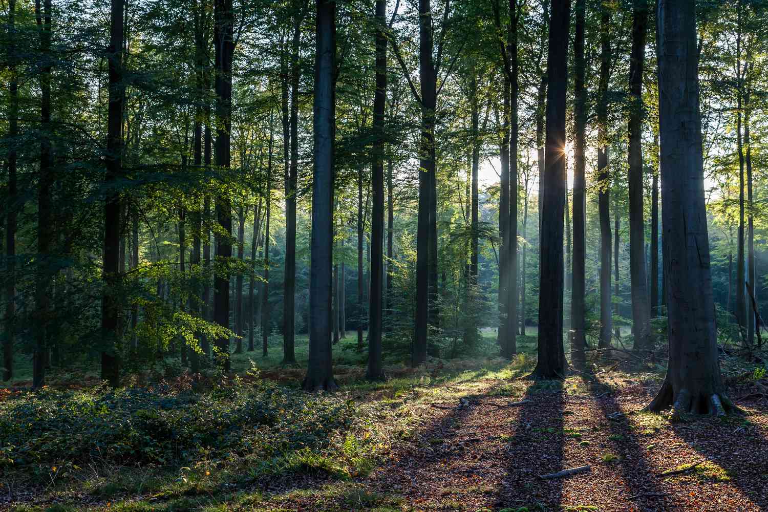 How To Create Life-Changing Meditation Courses