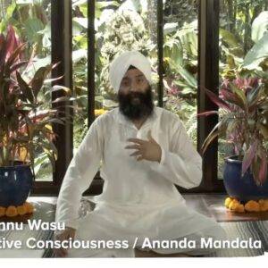 ananda mandala active consciousness meditation university